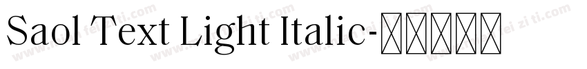 Saol Text Light Italic字体转换